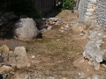 Ancient-Lerna-1-www.eternalgreece.com-by-E-Cauchi-0024