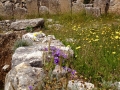 Mycenae-1-www.eternalgreece.com-by-E-Cauchi-0086
