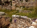 Mycenae-1-www.eternalgreece.com-by-E-Cauchi-0087