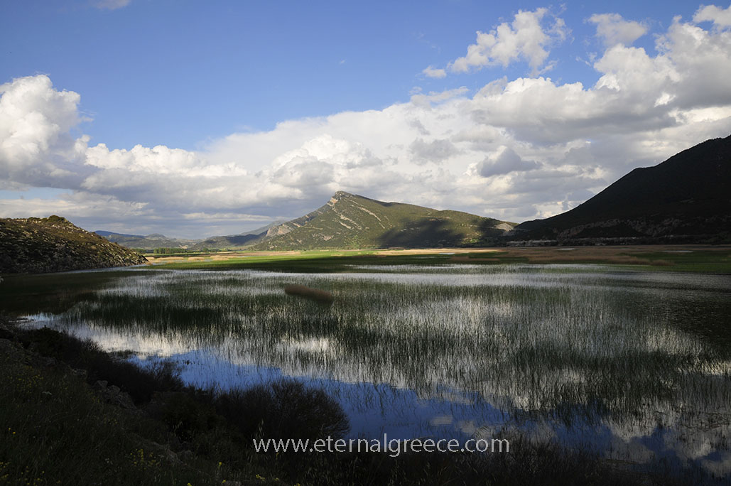 Lake-Stymphalia-www.eternalgreece.com-by-E-Cauchi-20