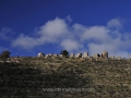 Mani-Peloponnese-www.eternalgreece.com-by-E-Cauchi-429